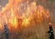 Misiune de stingere a unui incendiu produs la vegetaţia uscată în comuna Pâncești  
