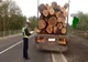 Depistat transportând o cantitate mai mare de material lemnos decât era în acte