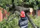 Doi arbori au blocat traficul rutier și au afectat alimentarea cu energie electrică