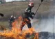 Trei incendii de vegetație uscată, într-o singură zi
