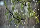 Vremea 3 aprilie - Temperaturi scăzute - Când o să se mai încălzească