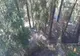 Incendiu la un fond forestier din comuna Borca