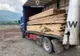 Material lemnos transportat ilegal, confiscat de polițiștii din Piatra Neamț