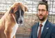 ”Perla Moldovei” se transformă în abator de câini. Primarul preferă eutanasierea în locul sterilizării