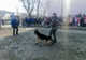 Polițiștii alături de elevii din Români, Bălțătești și Valea Seacă