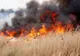 Cinci hectare de vegetație uscată mistuite de un incendiu