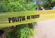Angajat mort după ce copacul pe care îl tăia a căzut peste el