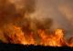 NEAMȚ: Intervenții pentru stingerea a 4 incendii de vegetație, în ultimele 24 de ore
