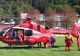Bărbat împuns de o vacă, transferat cu elicopterul SMURD la un spital din Iași