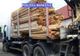Amendă de 10.000 lei şi 12 m.c. lemn confiscat de la un bărbat din Dămuc