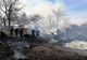 Incendiu la un adăpost de animale (FOTO)