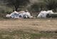Peste 350 de copii au fost ”jandarmi pentru o zi” la Ziua Porților Deschise (FOTO)