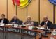 Soluții pentru românii din diaspora la Comisia pentru Incluziune Socială Neamț