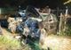 7 accidente rutiere cu victime în ultimele zile (FOTO)