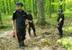 Arsenal de muniție neexplodată, găsit într-o pădure din Neamț (FOTO)