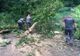 Un copac rupt de furtună a blocat circulația pe ambele sensuri (FOTO)