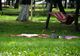 Duminică, 18 august, tot Romanul iese la picnic în Parcul Municipal!