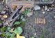 Captură inedită a unui pescar. A găsit un pistol pe malul râului Bistrița (FOTO)