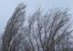 Atenționare METEO! Cod galben de vânt
