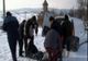 Văcarul din Farcașa, găsit mort și înghețat pe un drum forestier