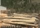 Material lemnos în valoare de peste 27.000 de lei, confiscat de polițiști