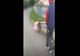 Scene șocante în plină zi în Roznov: un tânăr dezbrăcat umilește și bate alți doi minori (VIDEO)