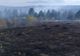 Peste 60 de hectare de pășune și pădure arse într-un incendiu la Borca