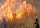 Misiune de stingere a unui incendiu produs la vegetaţia uscată în comuna Pâncești  