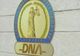 Culisele statului paralel | DNA, de la ”mama cătușelor” la ”tatăl răniților”. Kovesi revine în forță, cine tremură