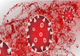 Bilanț coronavirus - 30 mai - Autoritățile anunță noile statistici - Câte infectări s-au înregistrat în ultimele 24 de ore