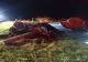 ACCIDENT GRAV pe o stradă din Piatra-Neamț! Victima are doar 19 ani!- FOTO