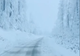 Fenomene meteo EXTREME, în România: cod galben de ninsori, vânt puternic și polei