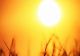 Anunțul momentului de la ANM - Când se termină ploile și ne putem bucura de primele temperaturi de vară