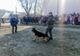 Polițiștii alături de elevii din Români, Bălțătești și Valea Seacă