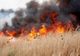 Cinci hectare de vegetație uscată mistuite de un incendiu