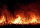 ALBANIA ȘI BULGARIA CER AJUTOR EUROPEAN PENTRU A FACE FAȚĂ INCENDIILOR DE VEGETAȚIE